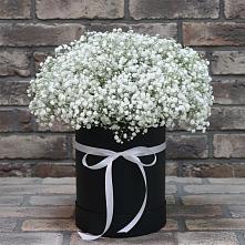 Цветочная композиция из Гипсофила в шляпной коробке в Задоно-Кагальницкой