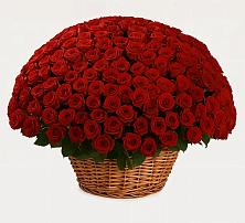 Премиум букет из: Розы #REPLACE_PRED# Задоно-Кагальницкой